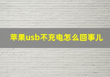 苹果usb不充电怎么回事儿