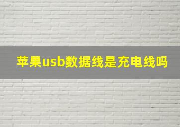 苹果usb数据线是充电线吗