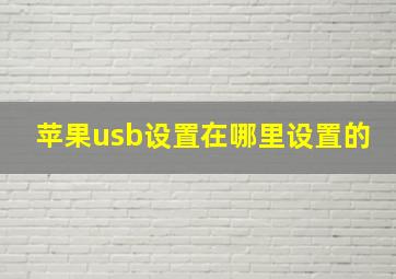 苹果usb设置在哪里设置的