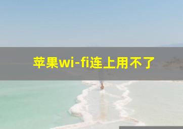 苹果wi-fi连上用不了