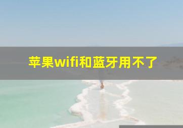 苹果wifi和蓝牙用不了