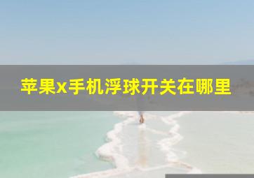 苹果x手机浮球开关在哪里