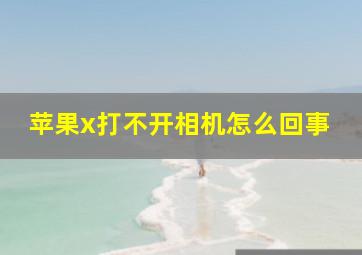 苹果x打不开相机怎么回事