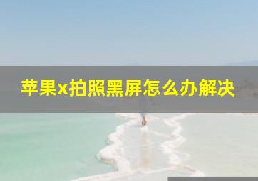 苹果x拍照黑屏怎么办解决