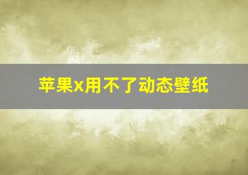 苹果x用不了动态壁纸