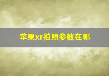 苹果xr拍照参数在哪