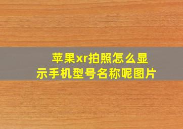 苹果xr拍照怎么显示手机型号名称呢图片