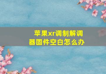 苹果xr调制解调器固件空白怎么办