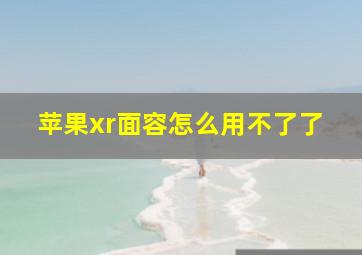 苹果xr面容怎么用不了了