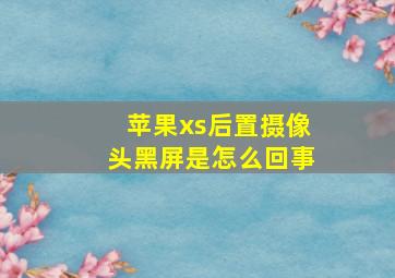 苹果xs后置摄像头黑屏是怎么回事