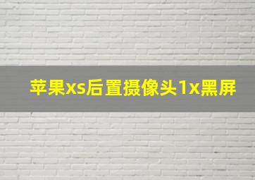 苹果xs后置摄像头1x黑屏