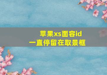 苹果xs面容id一直停留在取景框