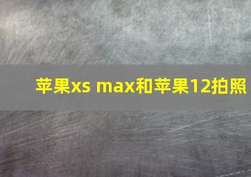 苹果xs max和苹果12拍照