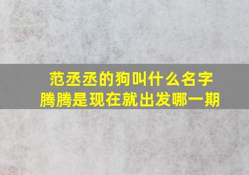 范丞丞的狗叫什么名字腾腾是现在就出发哪一期