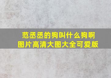 范丞丞的狗叫什么狗啊图片高清大图大全可爱版