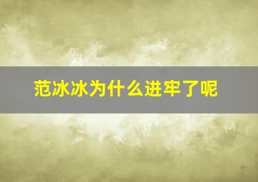 范冰冰为什么进牢了呢