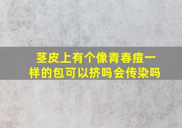 茎皮上有个像青春痘一样的包可以挤吗会传染吗