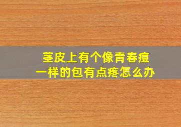 茎皮上有个像青春痘一样的包有点疼怎么办