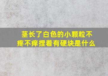 茎长了白色的小颗粒不疼不痒捏着有硬块是什么