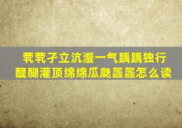 茕茕孑立沆瀣一气踽踽独行醍醐灌顶绵绵瓜瓞龘龘怎么读