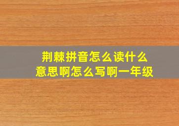 荆棘拼音怎么读什么意思啊怎么写啊一年级