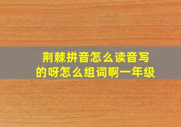 荆棘拼音怎么读音写的呀怎么组词啊一年级