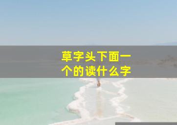 草字头下面一个的读什么字