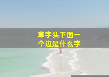 草字头下面一个边是什么字