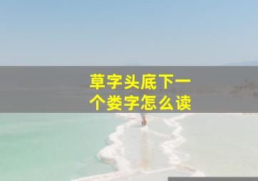 草字头底下一个娄字怎么读