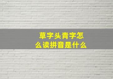 草字头青字怎么读拼音是什么