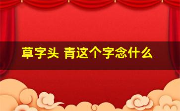 草字头 青这个字念什么