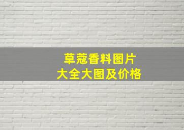 草蔻香料图片大全大图及价格