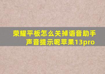 荣耀平板怎么关掉语音助手声音提示呢苹果13pro