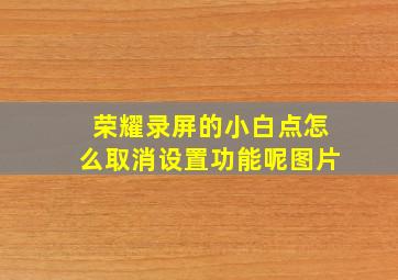 荣耀录屏的小白点怎么取消设置功能呢图片