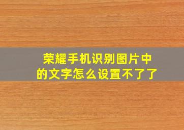 荣耀手机识别图片中的文字怎么设置不了了