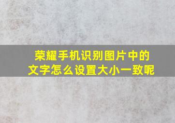 荣耀手机识别图片中的文字怎么设置大小一致呢