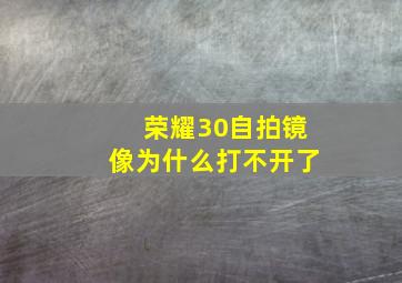 荣耀30自拍镜像为什么打不开了