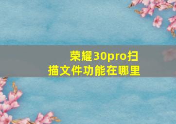 荣耀30pro扫描文件功能在哪里