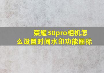 荣耀30pro相机怎么设置时间水印功能图标