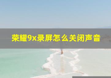 荣耀9x录屏怎么关闭声音