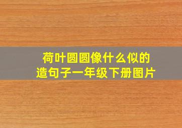 荷叶圆圆像什么似的造句子一年级下册图片