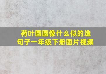 荷叶圆圆像什么似的造句子一年级下册图片视频