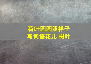 荷叶圆圆照样子写词语花儿 树叶