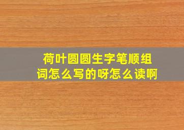 荷叶圆圆生字笔顺组词怎么写的呀怎么读啊