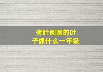 荷叶圆圆的叶子像什么一年级