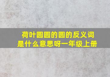 荷叶圆圆的圆的反义词是什么意思呀一年级上册