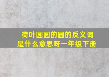 荷叶圆圆的圆的反义词是什么意思呀一年级下册