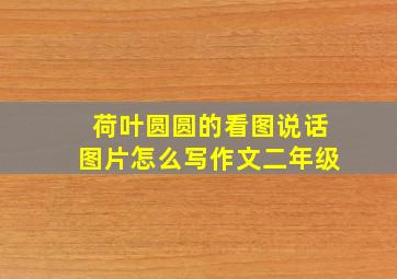 荷叶圆圆的看图说话图片怎么写作文二年级