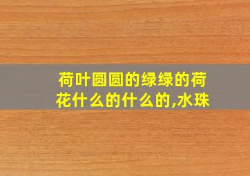 荷叶圆圆的绿绿的荷花什么的什么的,水珠