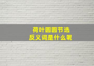 荷叶圆圆节选反义词是什么呢